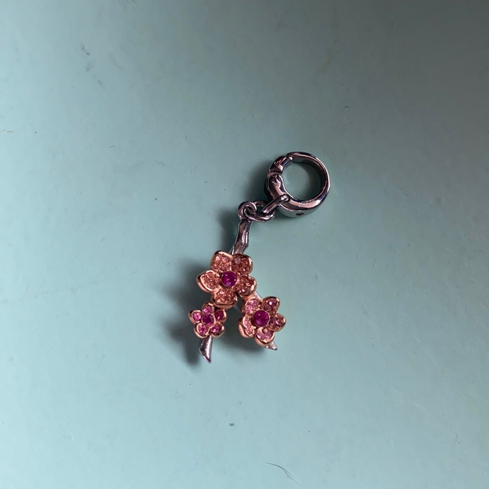 fossil charm